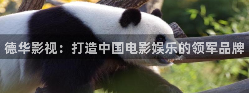 yy8090青苹果影院电视剧